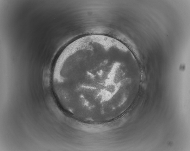 X0000097640012200803211843