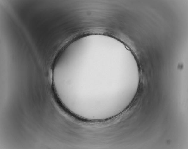 X0000097640013200803211843