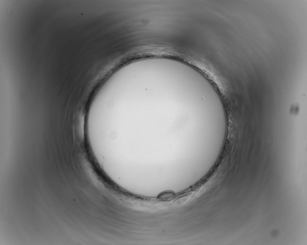 X0000097640014200803211843