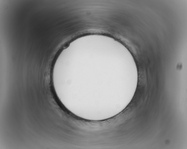 X0000097640015200803211843