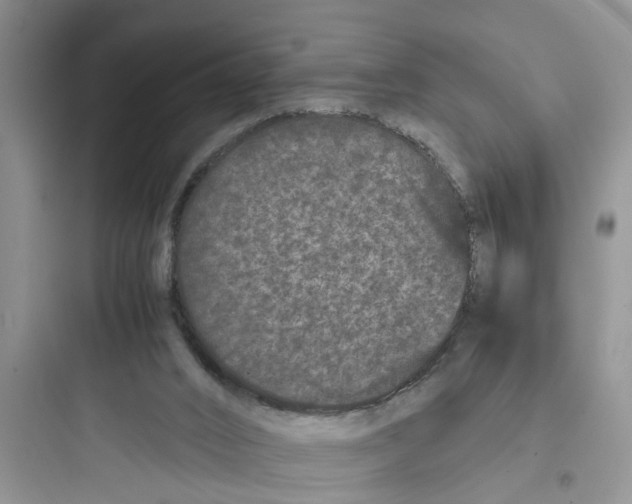 X0000097640016200803211843