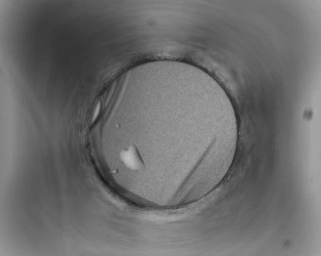 X0000097640017200803211843