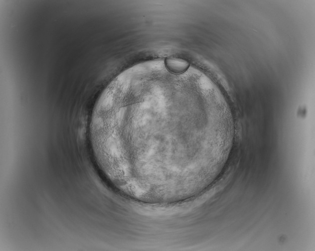 X0000097640018200803211843