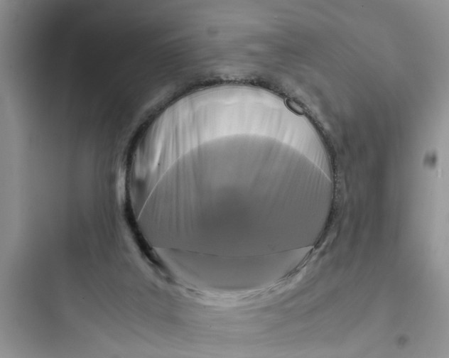 X0000097640019200803211843