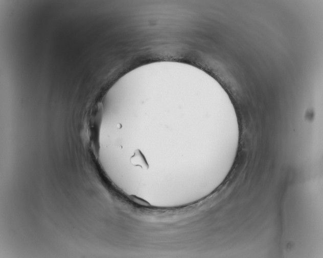 X0000097640021200803211843