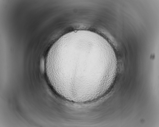 X0000097640022200803211843