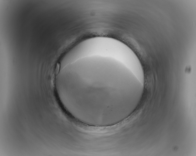 X0000097640023200803211843