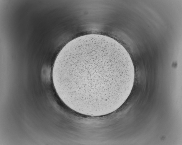 X0000097640024200803211843