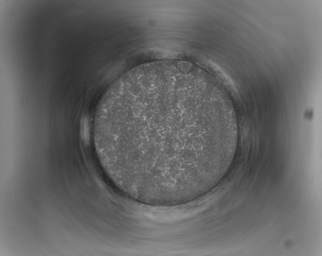 X0000097640026200803211843