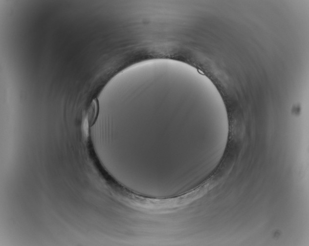 X0000097640027200803211843