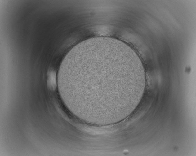 X0000097640028200803211843