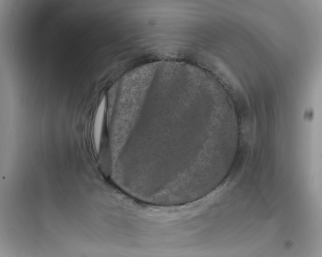 X0000097640029200803211843