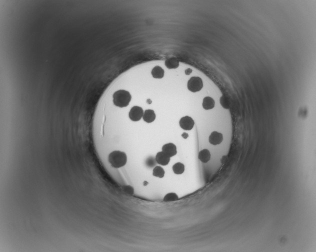 X0000097640030200803211843