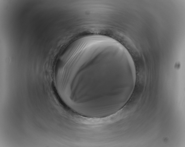 X0000097640031200803211843