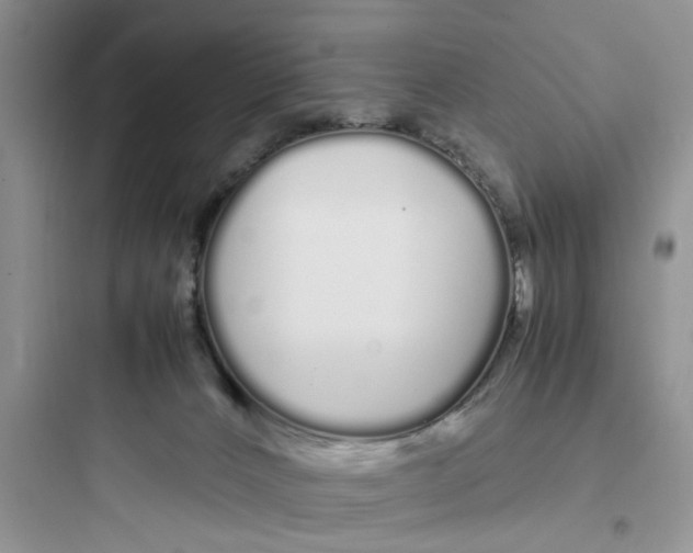 X0000097640032200803211843