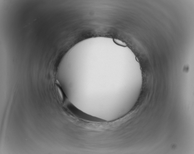 X0000097640033200803211842