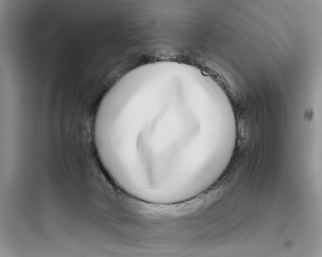 X0000097640034200803211842