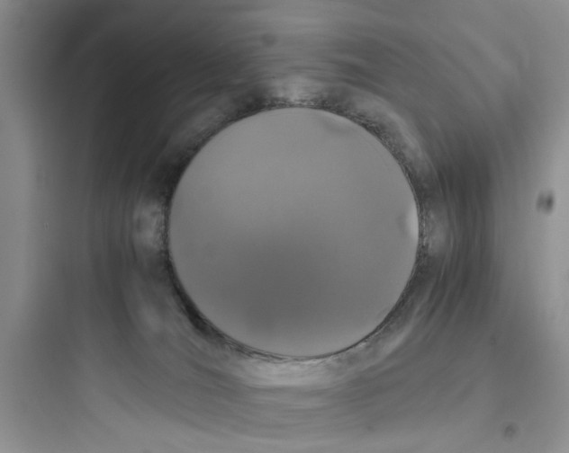 X0000097640036200803211842