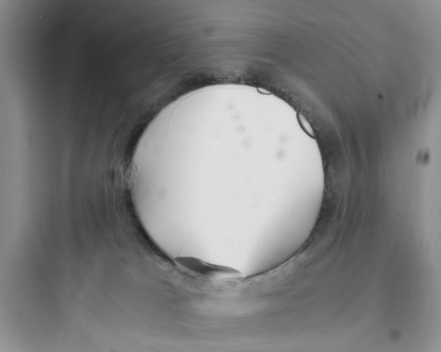 X0000097640037200803211842