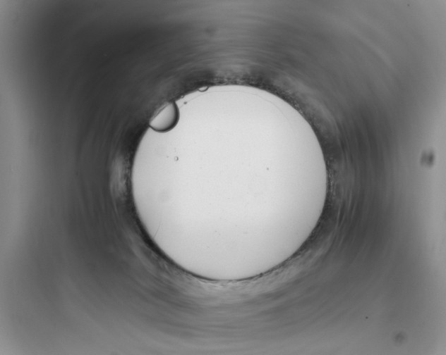 X0000097640038200803211842