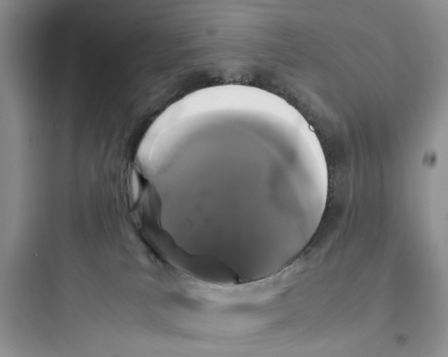 X0000097640039200803211842