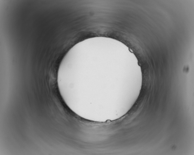 X0000097640040200803211842