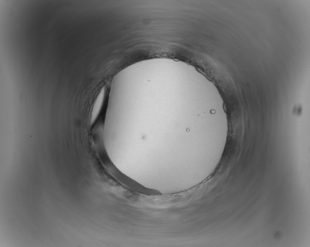 X0000097640041200803211842