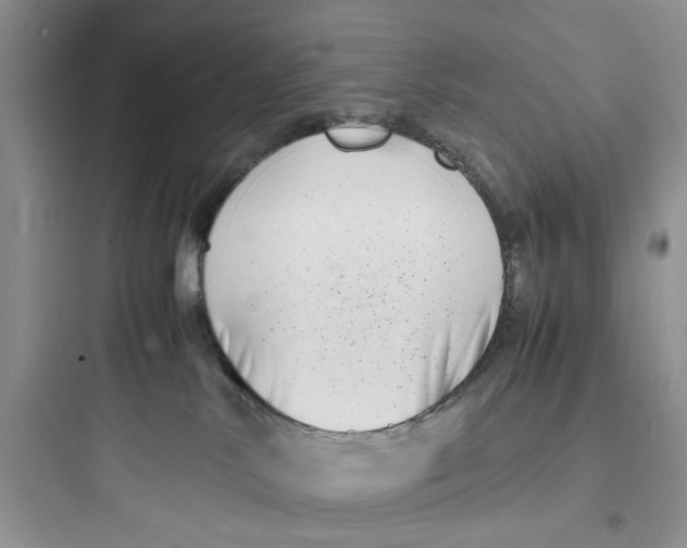 X0000097640042200803211842