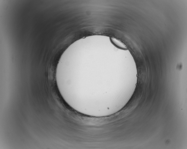 X0000097640044200803211842