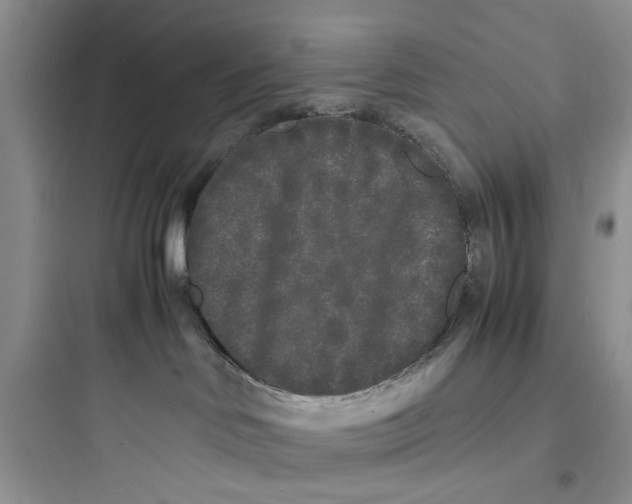 X0000097640046200803211842