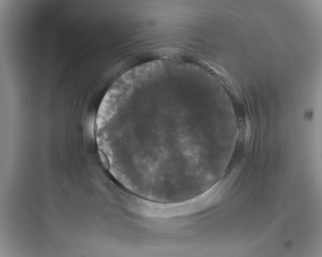 X0000097640047200803211842