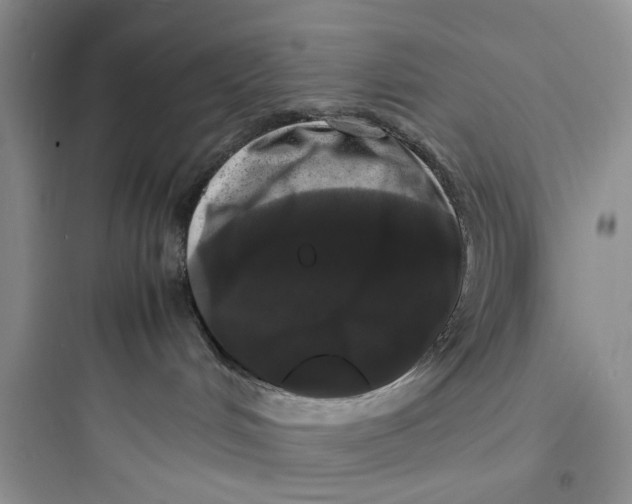 X0000097640048200803211842