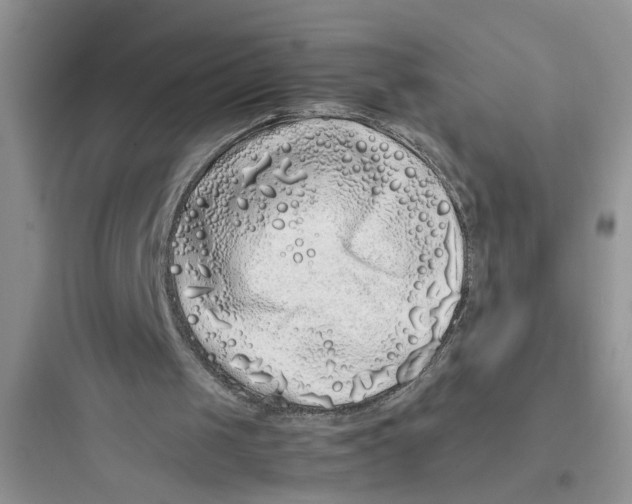 X0000097640049200803211841