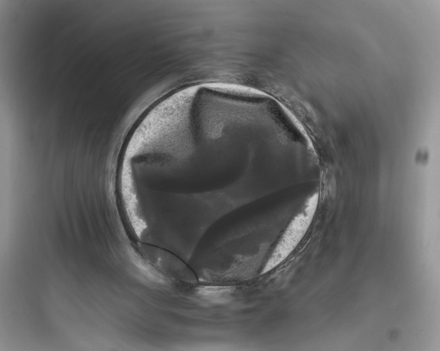 X0000097640051200803211841