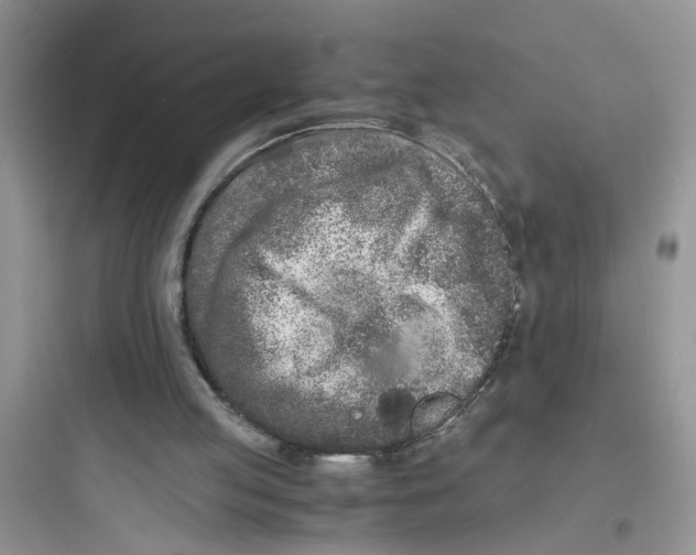 X0000097640053200803211842