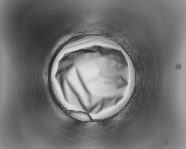 X0000097640054200803211842