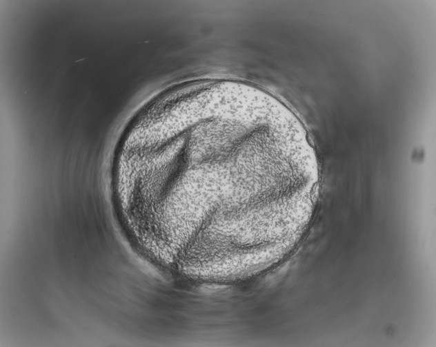 X0000097640055200803211842