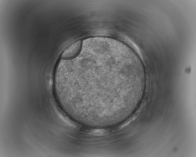 X0000097640059200803211842