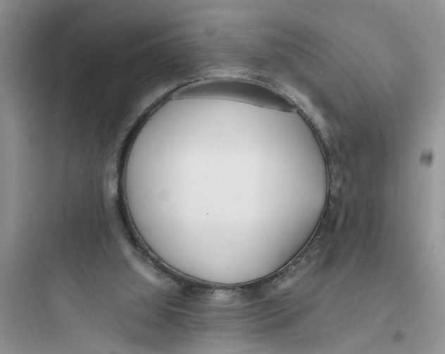 X0000097640060200803211842