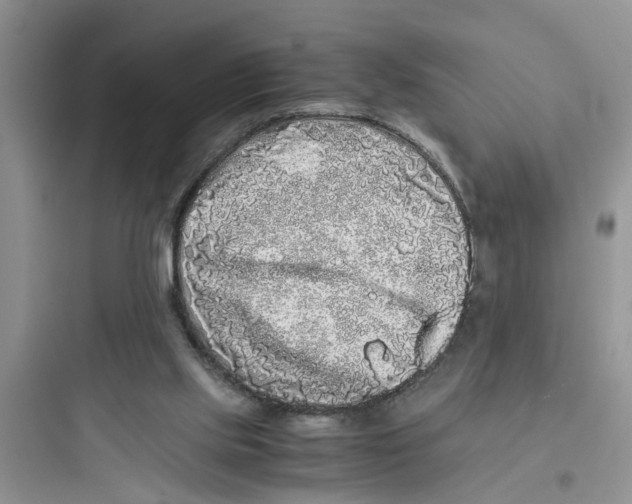 X0000097640061200803211842