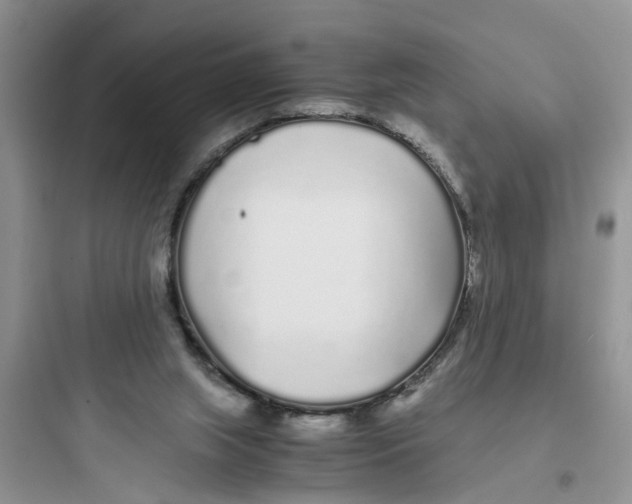 X0000097640063200803211842