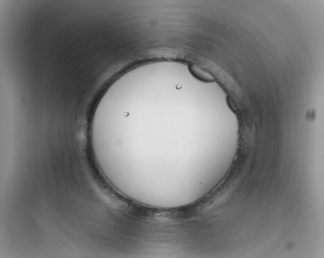 X0000097640064200803211842