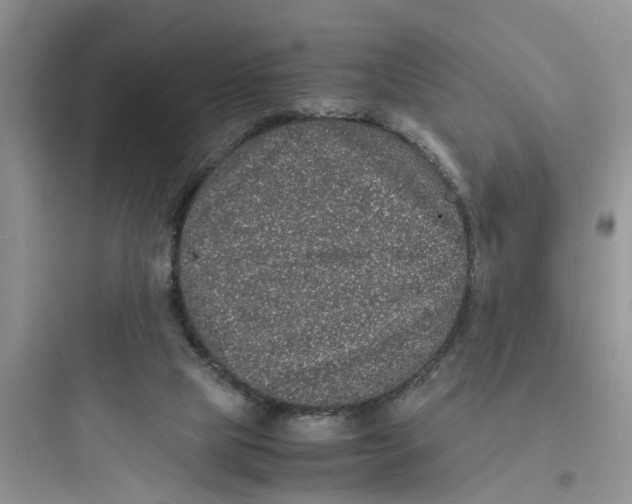 X0000097640065200803211842