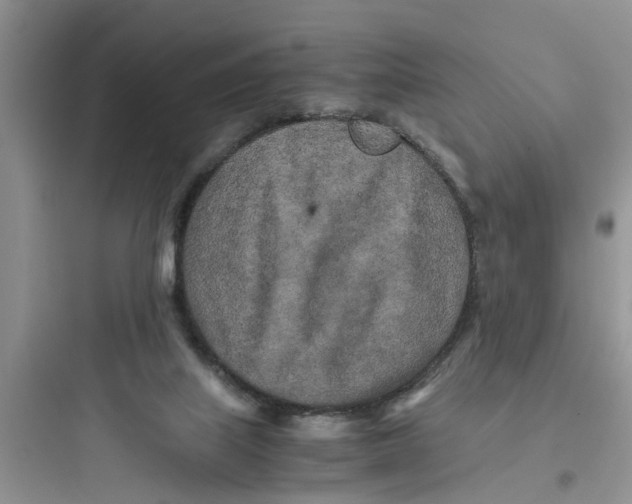 X0000097640067200803211842