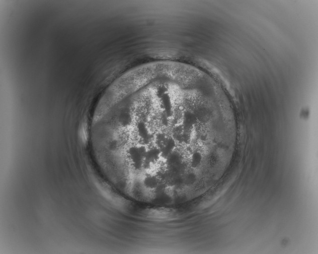 X0000097640069200803211842