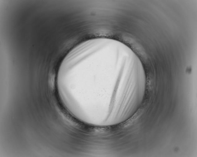 X0000097640070200803211842