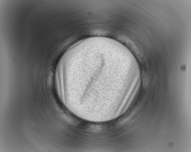 X0000097640071200803211842