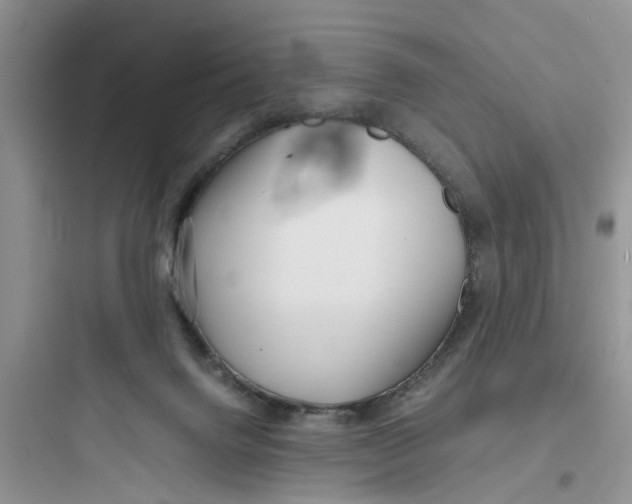 X0000097640072200803211842