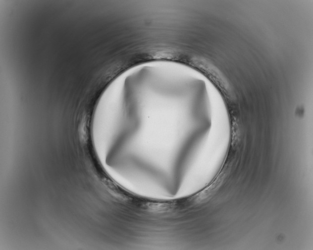 X0000097640074200803211842