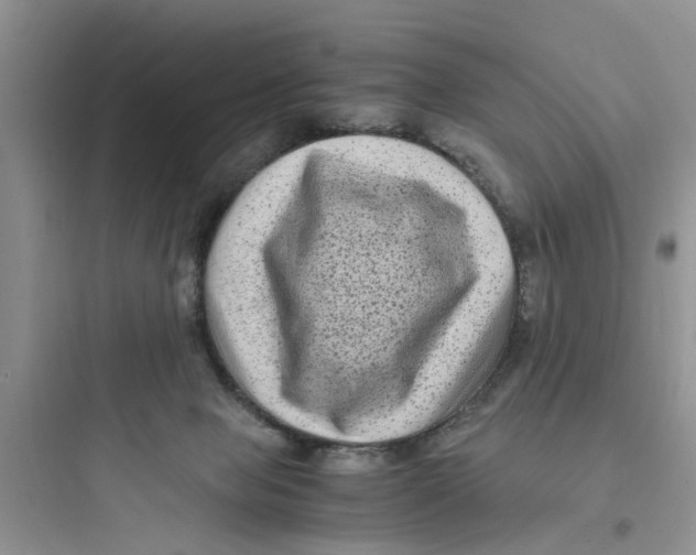 X0000097640077200803211842